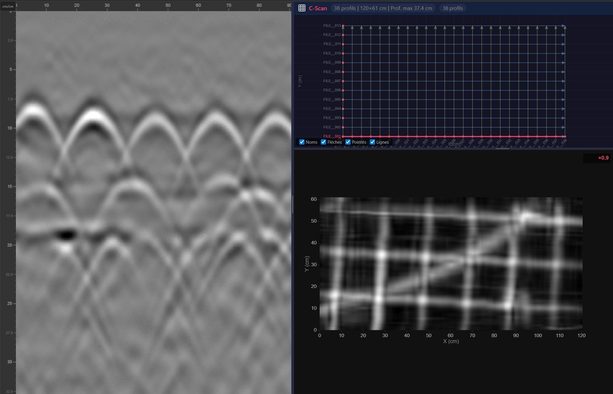 Vue C-Scan de GPRviewer : coupe horizontale interpolée à partir de 38 profils, révélant le maillage des armatures